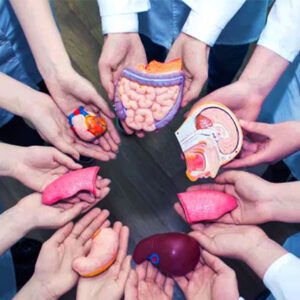 Detección & Mantenimiento del Donante